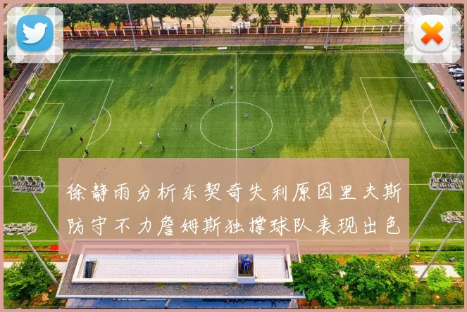 徐静雨分析东契奇失利原因里夫斯防守不力詹姆斯独撑球队表现出色